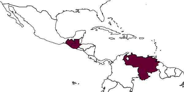 map of Anteon habile     Olmi, 1991
